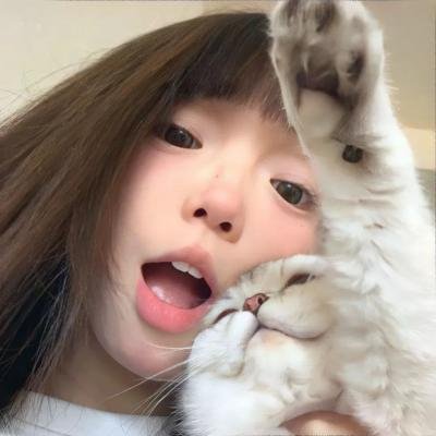 键盘侠